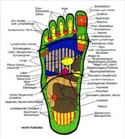 Die Reflexzonen des Fußes